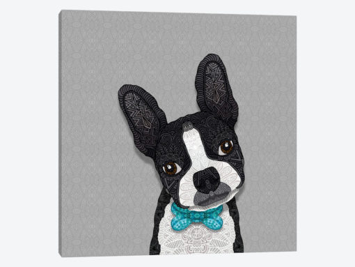 Bow Tie Boston