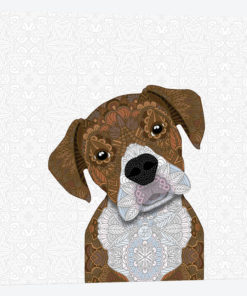 Boxer Dog