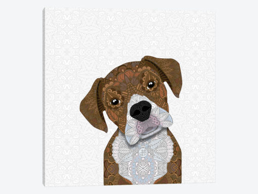 Boxer Dog