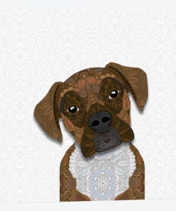 Brindle Boxer