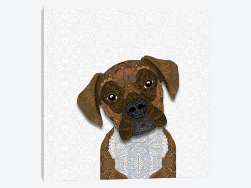 Brindle Boxer