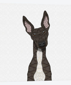 Brindle Greyhound, White Belly