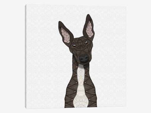 Brindle Greyhound, White Belly