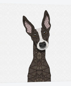 Brindle Greyhound, White Snout