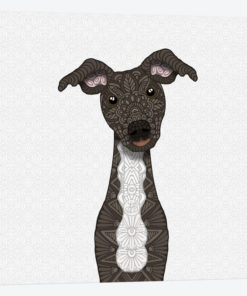Brindle Iggy, White Belly