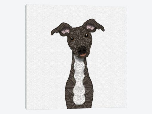 Brindle Iggy, White Belly