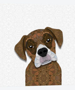 Brown Boxer, White Snout