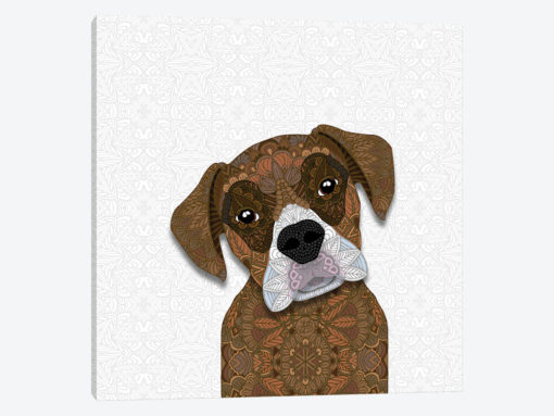 Brown Boxer, White Snout