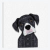 Cute Black Boxer