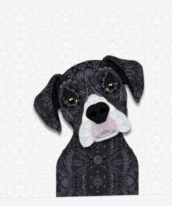 Cute Black Boxer