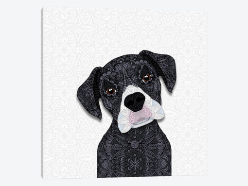 Cute Black Boxer
