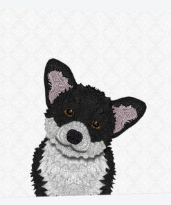 Cute Black Corgi