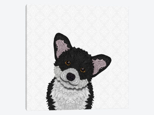 Cute Black Corgi