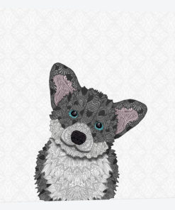 Cute Blue Corgi