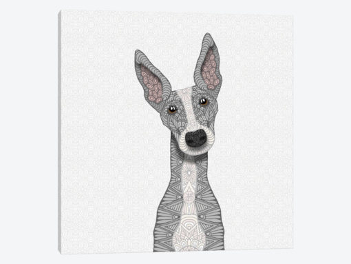 Cute Blue Greyhound