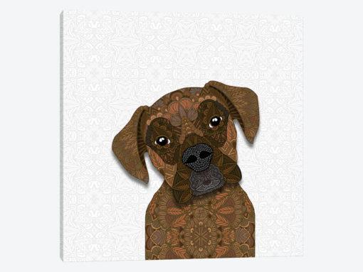 Cute Brindle Boxer