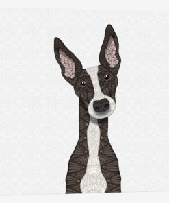 Cute Brindle Greyhound