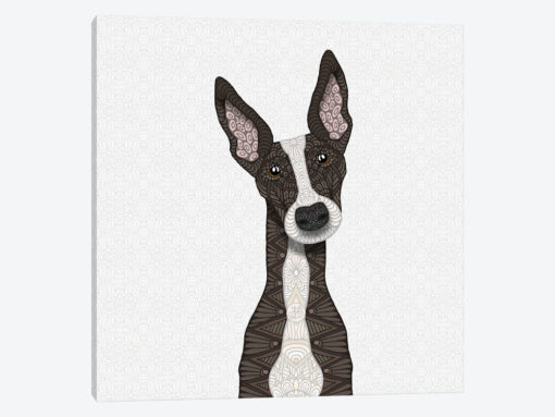 Cute Brindle Greyhound