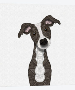 Cute Brindle Iggy