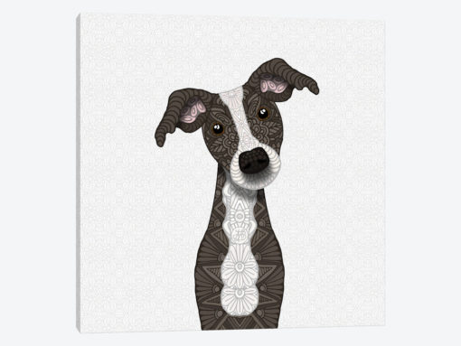 Cute Brindle Iggy