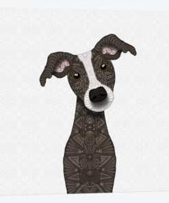 Cute Brindle Iggy Dog