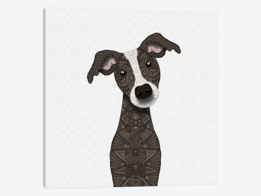 Cute Brindle Iggy Dog
