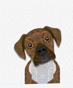 Cute Fawn Boxer