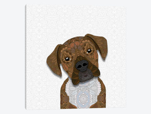 Cute Fawn Boxer