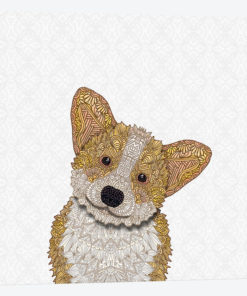 Cute Fawn Corgi
