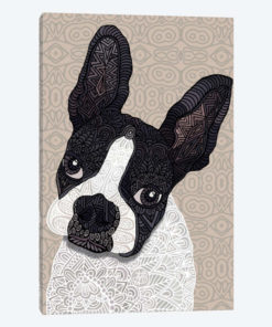 Bosten Terrier