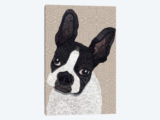 Bosten Terrier