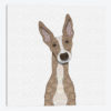 Cute Fawn Greyhound