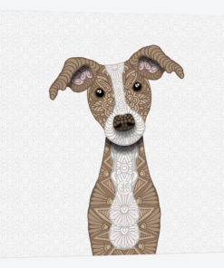 Cute Fawn Iggy