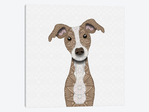 Cute Fawn Iggy