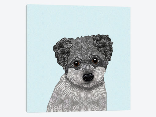 Cute Havanese