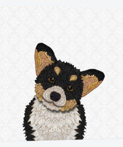 Cute Tri-Colored Corgi