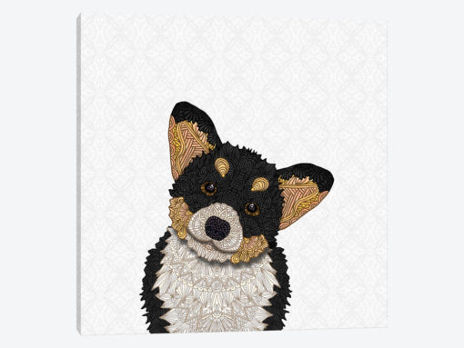 Cute Tri-Colored Corgi