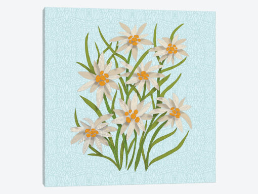 Edelweiss