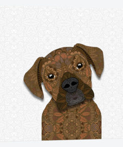 Fawn Boxer