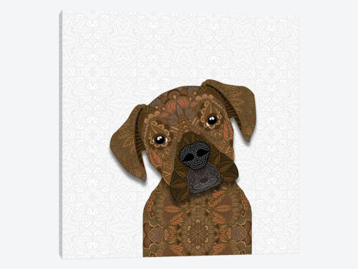 Fawn Boxer