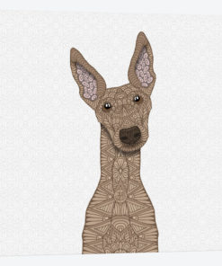 Fawn Greyhound