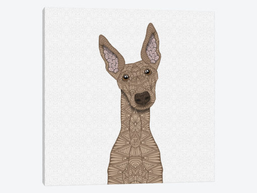 Fawn Greyhound