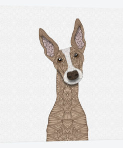 Fawn Greyhound, White Shout