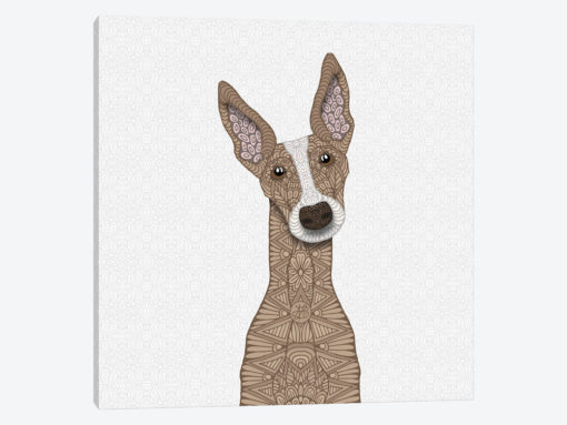 Fawn Greyhound, White Shout