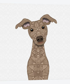 Fawn Iggy