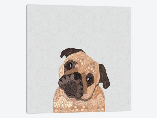 Fawn Pug