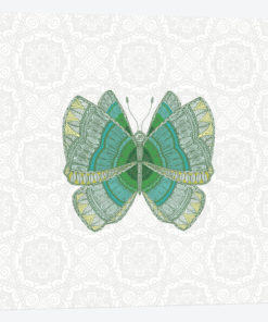 Green Butterfly