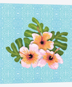 Hibiscus