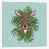 Kangaroo