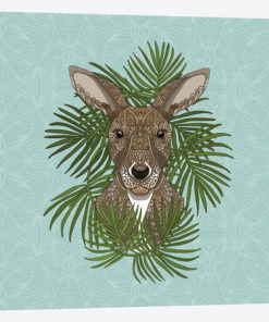 Kangaroo